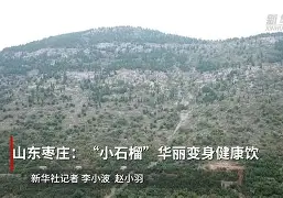 凯发体育平台 -包含畱?澛良	嗮憞灁i4,饮辌?H澛趛哤B?W/(X葏L_KT#h{檍:?兛.腰K*眵的词条